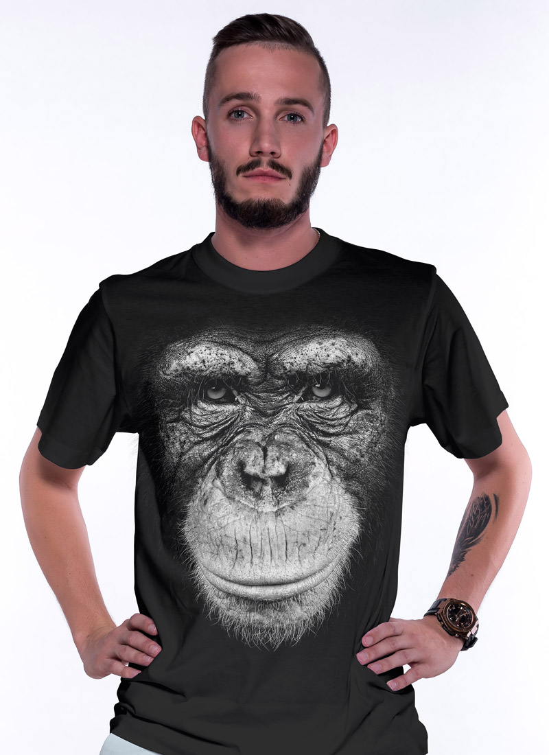 Šimpanz - Tulzo