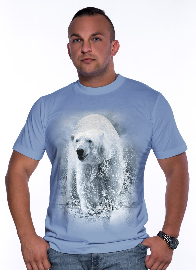 Polární medvěd - Tulzo