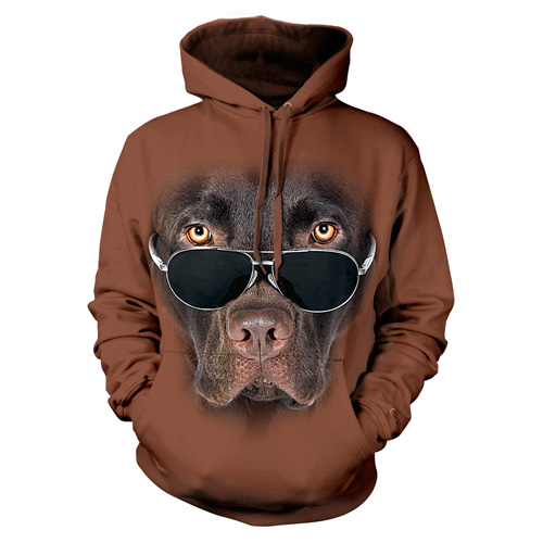 Labrador čokoládový v brýlích - Tulzo
