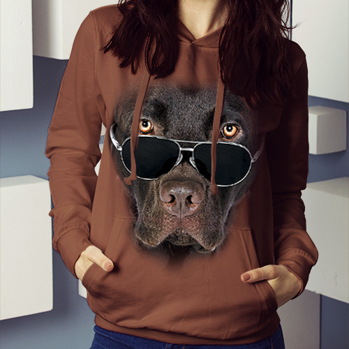 Labrador čokoládový v brýlích - Tulzo
