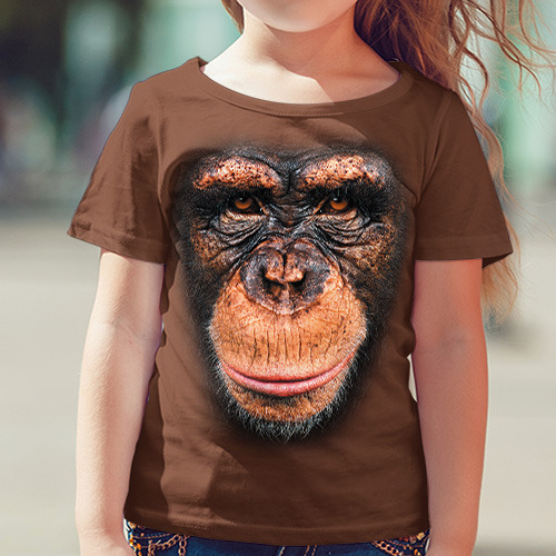Šimpanz - Tulzo
