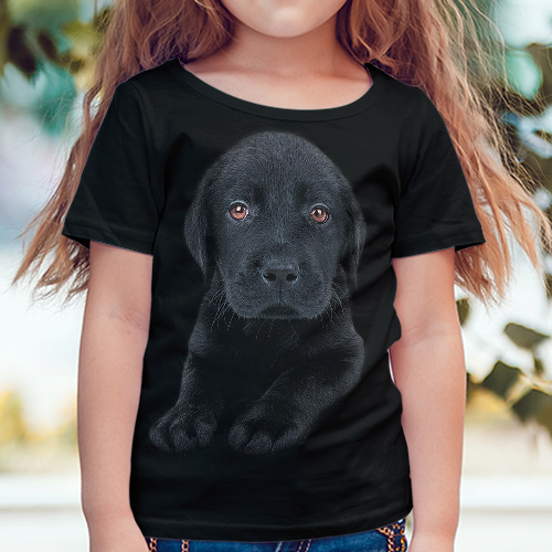 Pes labrador černé štěně - Tulzo