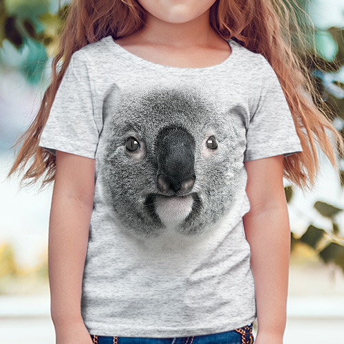 Koala - Tulzo