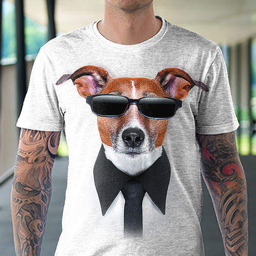 Pes v brýlích - Tulzo