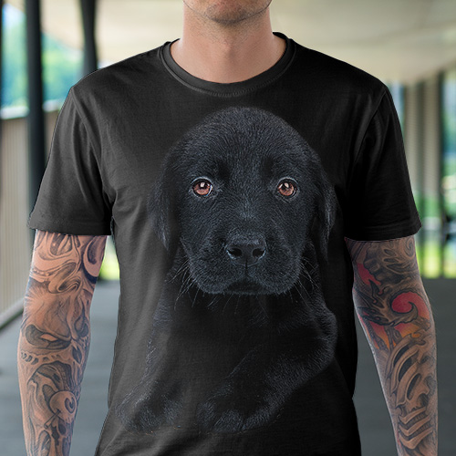 Pes labrador černé štěně - Tulzo