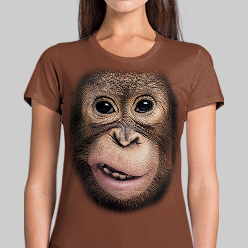 Orangutan - Tulzo